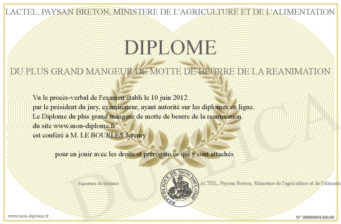 diplome universitaire reanimation